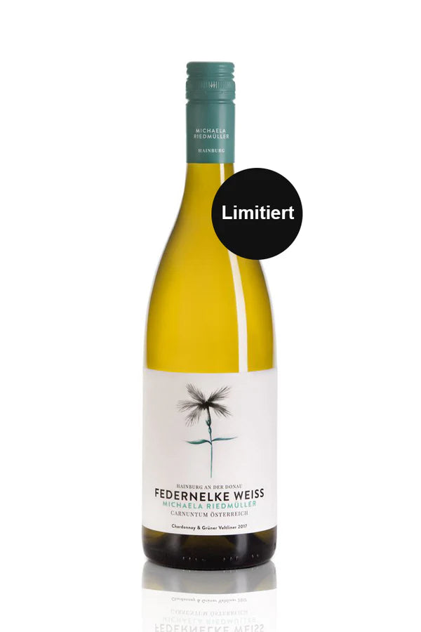 FEDERNELKE WEISS 2024 CARNUNTUM DAC